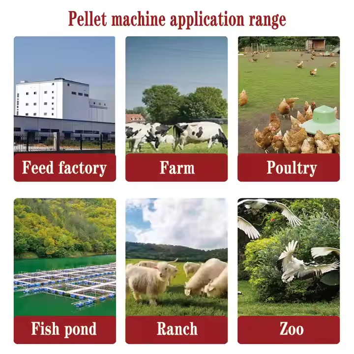 Small Feed Production Line Small Feed Production Line