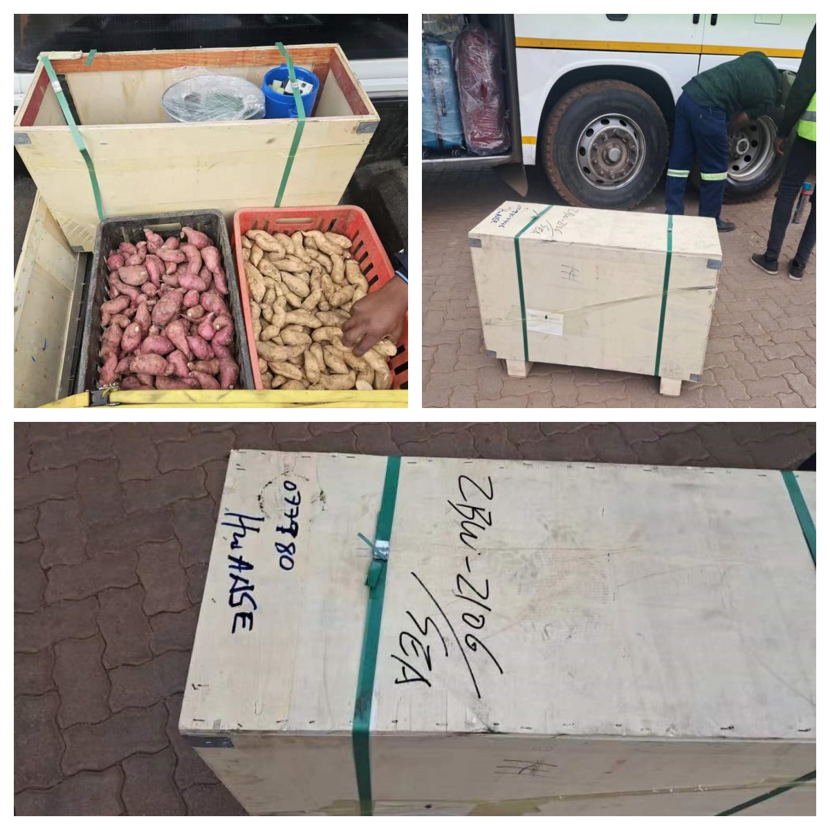 Customers collect machines from Zimbabwe 