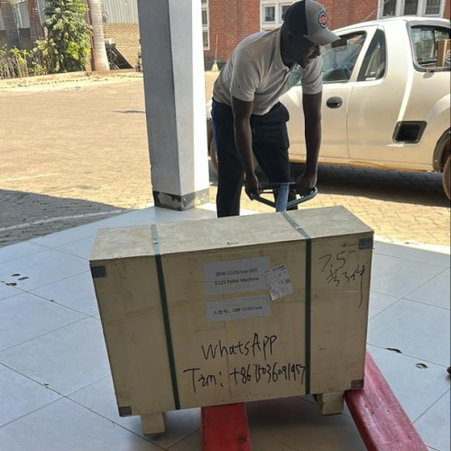 Customers Collected Electric Feed Pellet Machine From Zimbabwe Warehouse