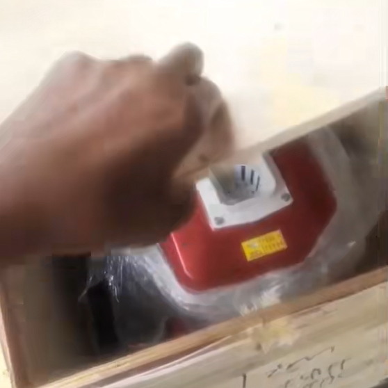 Clients Collected Diesel Animals Feed Pellet Machine From South Africa Warehouse