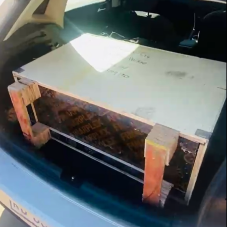 South Africa client picked up electric feed pellet machine from Johannesburg warehouse South Africa client picked up electric feed pellet machine from Johannesburg warehouse